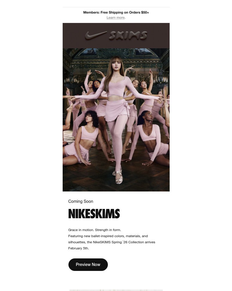 Screenshot of email sent to a Nike Registered user