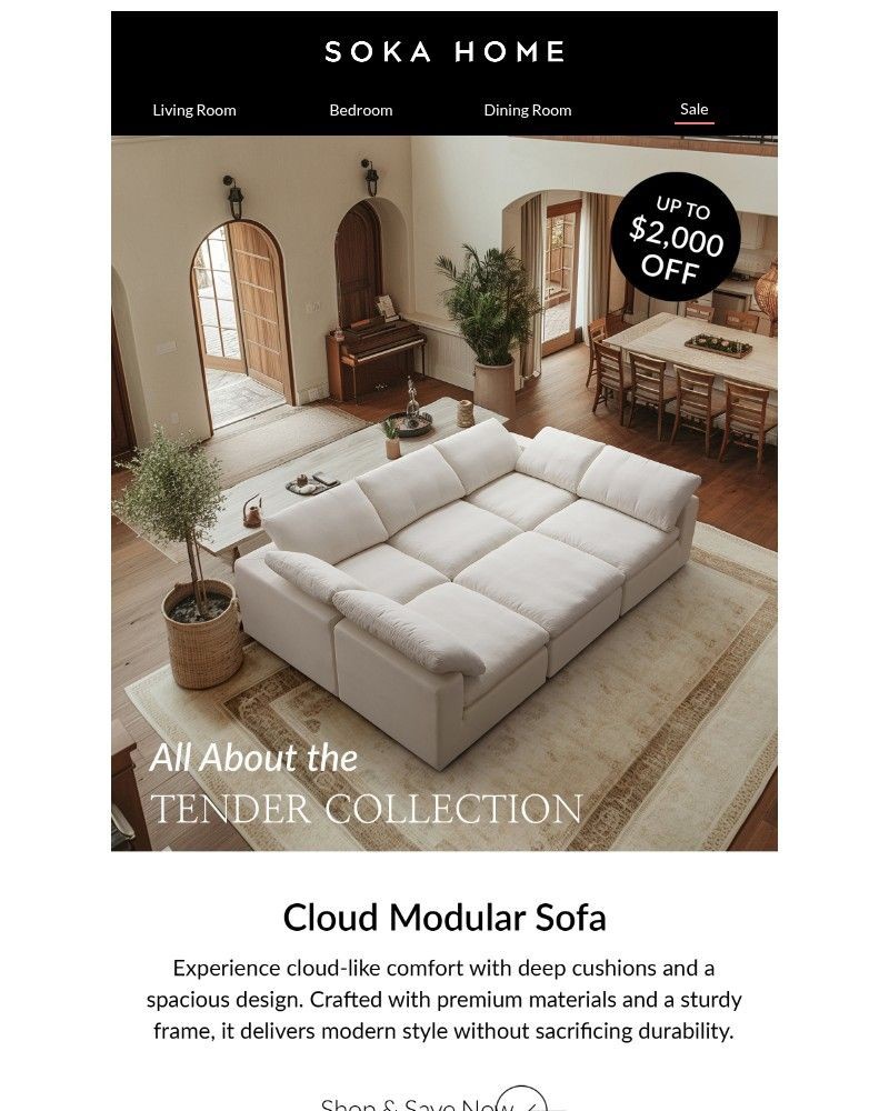 Screenshot of email with subject /media/emails/meet-the-sofa-everyones-obsessed-with-544ed2-cropped-d62fdb47.jpg