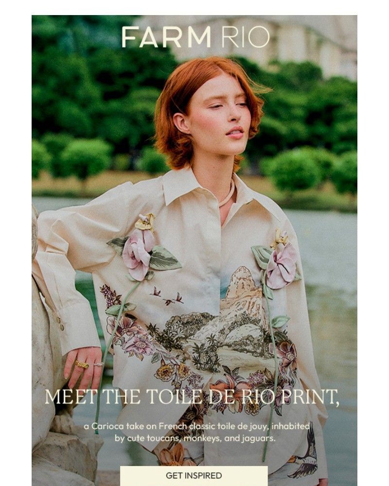 Screenshot of email with subject /media/emails/meet-the-toile-de-rio-print-291d4c-cropped-939eab4b.jpg
