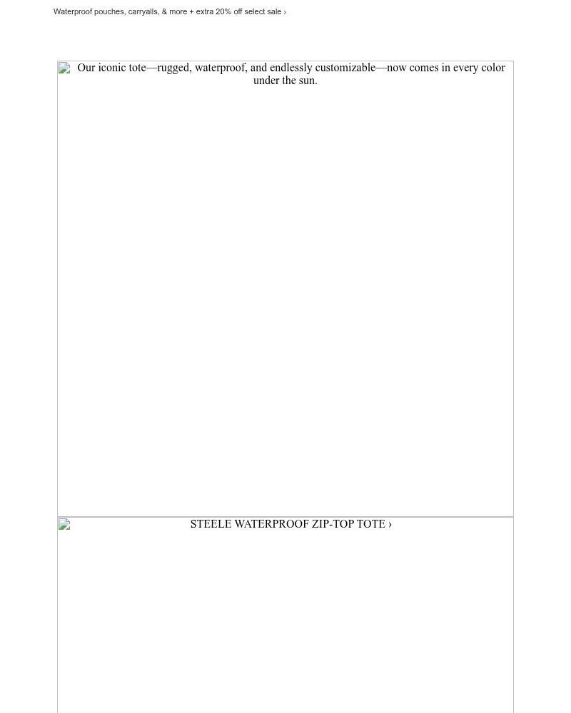 Screenshot of email with subject /media/emails/meet-the-ultimate-beach-tote-eb99bd-cropped-b093c244.jpg