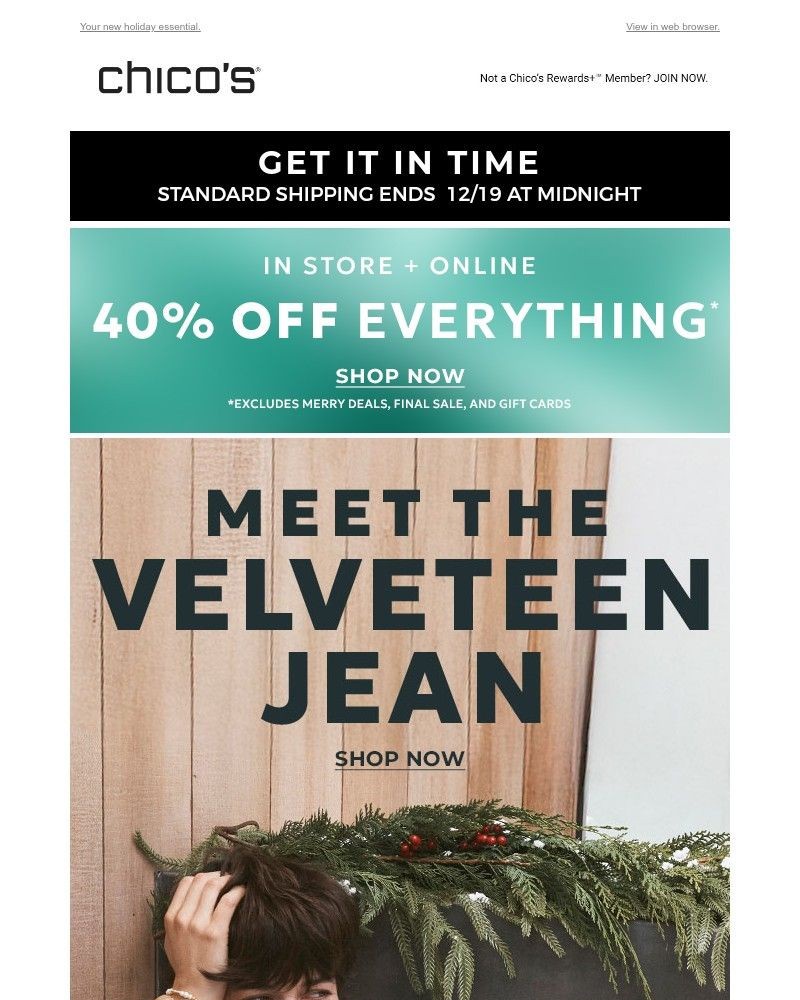 Screenshot of email with subject /media/emails/meet-the-velveteen-jean-40-off-0fd073-cropped-e024c273.jpg