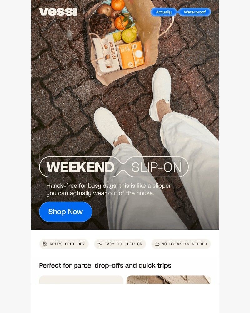 Screenshot of email sent to a Vessi Seller