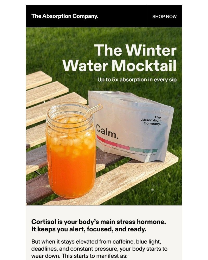 Screenshot of email sent to a The Absorption Company Newsletter subscriber