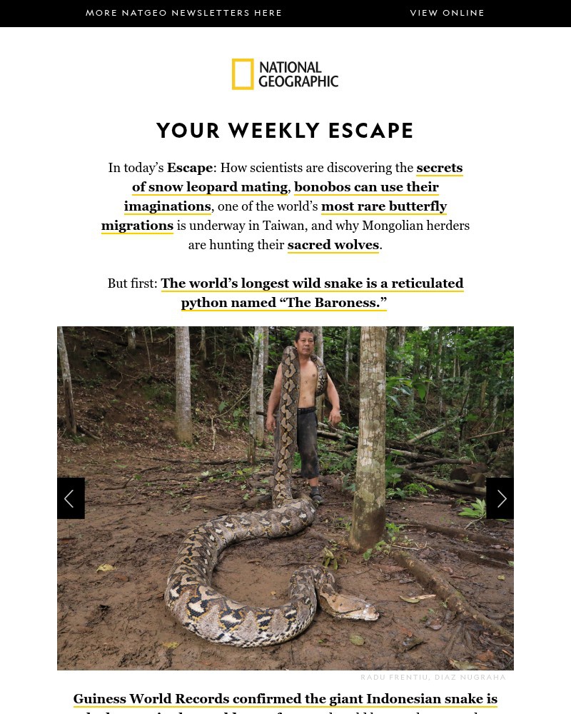 Screenshot of email sent to a National Geographic Newsletter subscriber