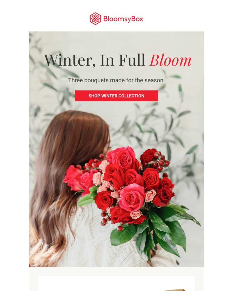 Screenshot of email with subject /media/emails/meet-three-winter-blooms-d53fd8-cropped-c50cbe3f.jpg