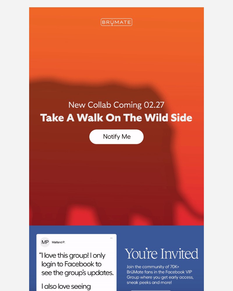 Screenshot of email with subject /media/emails/meet-us-at-the-watering-hole-14b824-cropped-f93c5df7.jpg