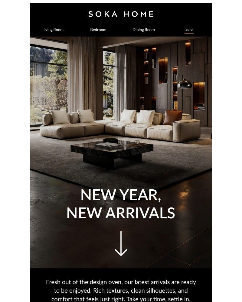 Screenshot of email sent to a Soka Home Newsletter subscriber