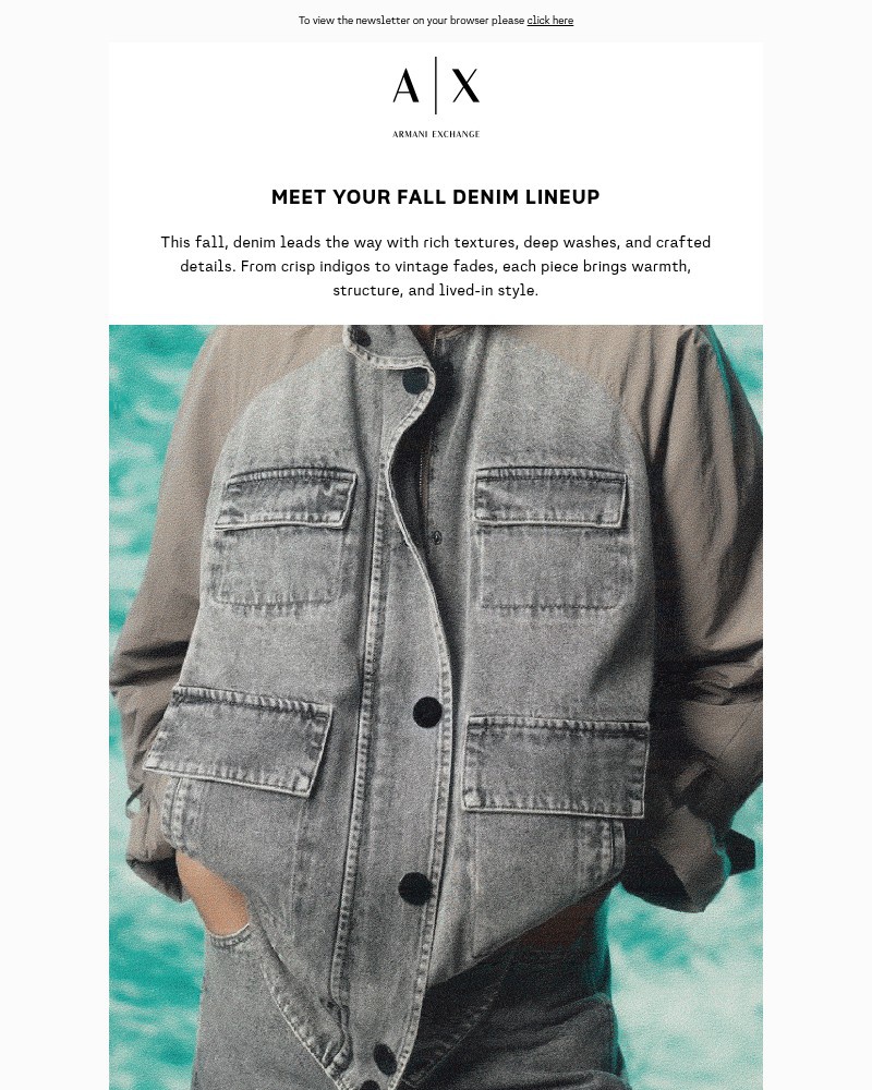 Screenshot of email with subject /media/emails/meet-your-fall-denim-lineup-694c9a-cropped-45230511.jpg