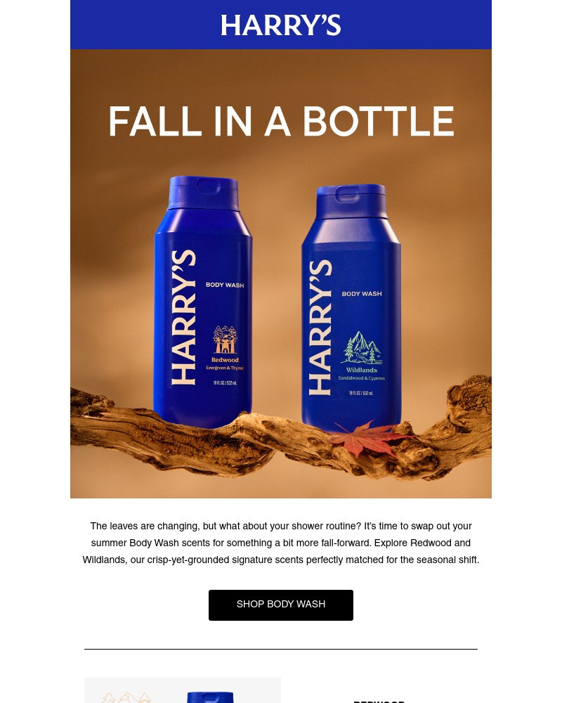 Screenshot of email with subject /media/emails/meet-your-fall-scent-lineup-78e9fa-cropped-7aa5e166.jpg