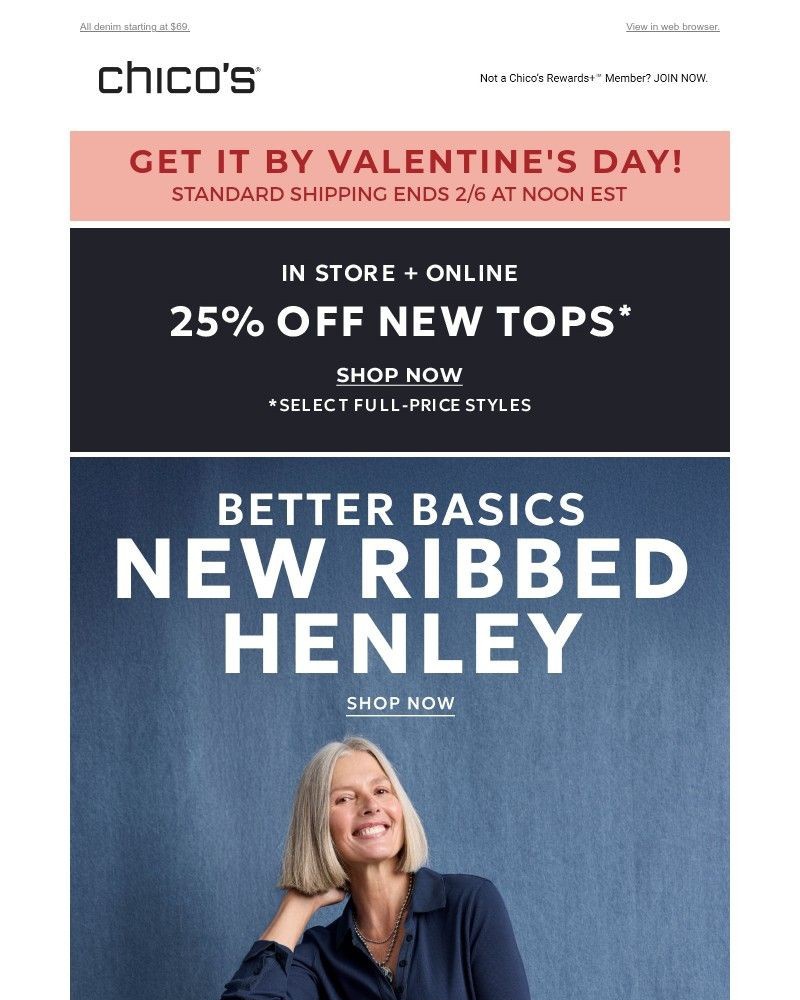 Screenshot of email with subject /media/emails/meet-your-not-basic-basic-25-off-tops-96b86a-cropped-a56dea59.jpg