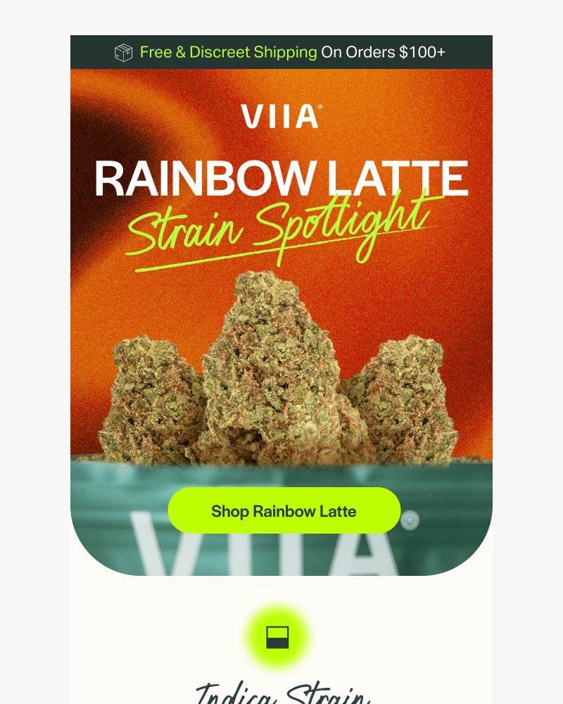 Screenshot of email with subject /media/emails/mellow-without-the-melt-meet-rainbow-latte-b41fde-cropped-086f13fd.jpg