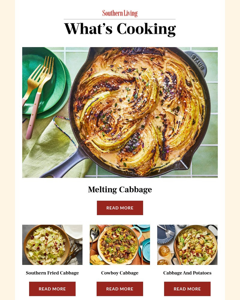 Screenshot of email with subject /media/emails/melting-cabbage-483fcf-cropped-ff3cd457.jpg