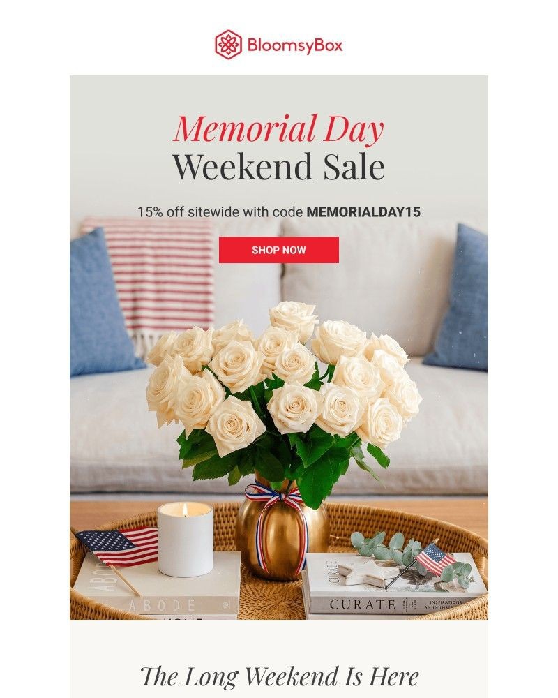 Screenshot of email with subject /media/emails/memorial-day-15-off-starts-right-now-fb3a15-cropped-709d2d60.jpg