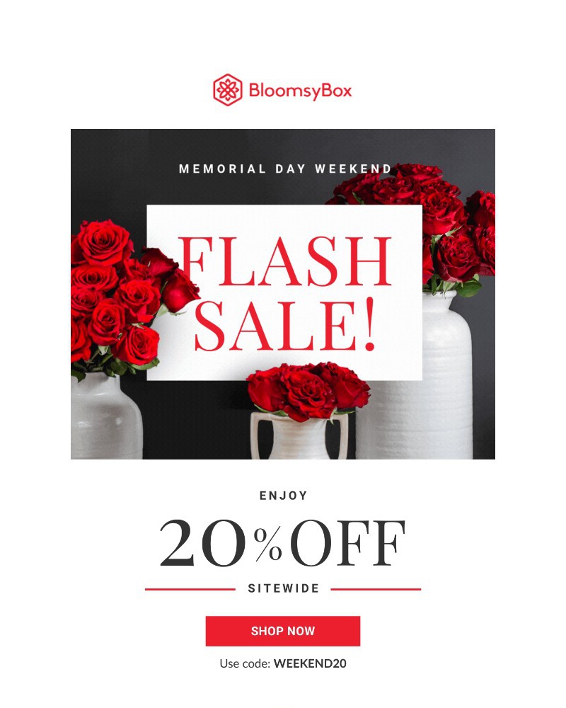 Screenshot of email with subject /media/emails/memorial-day-deals-are-here-31723f-cropped-fdf83b23.jpg