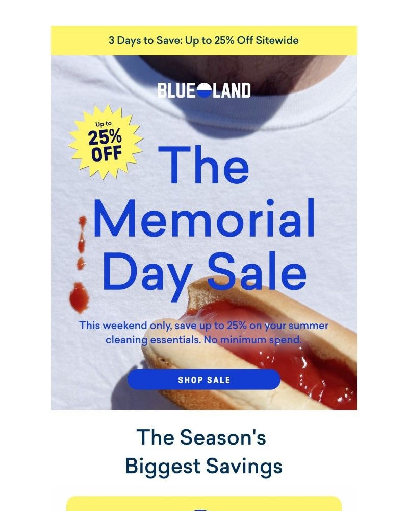 Screenshot of email with subject /media/emails/memorial-day-sale-what-were-shopping-b632c6-cropped-c1938905.jpg