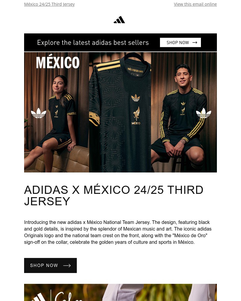 Screenshot of email with subject /media/emails/mexico-de-oro-573637-cropped-587a3b2e.jpg