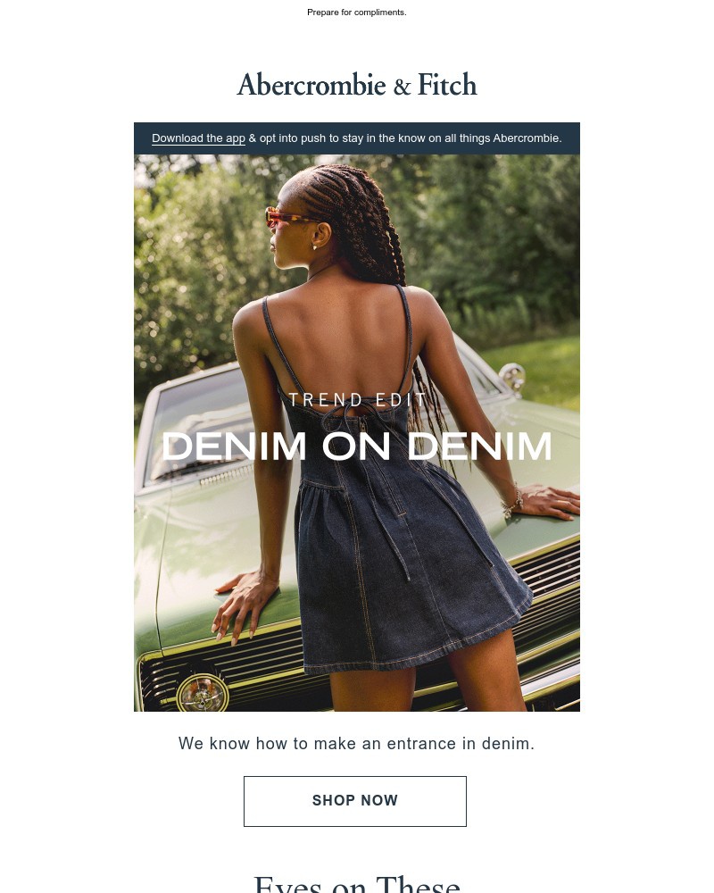 Screenshot of email with subject /media/emails/mic-drop-denim-e636cd-cropped-c17e1b7b.jpg