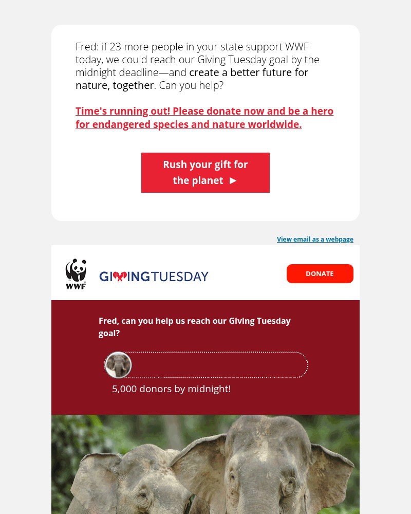 Screenshot of email with subject /media/emails/midnight-deadline-checking-in-fred-4f0933-cropped-0fd8947f.jpg