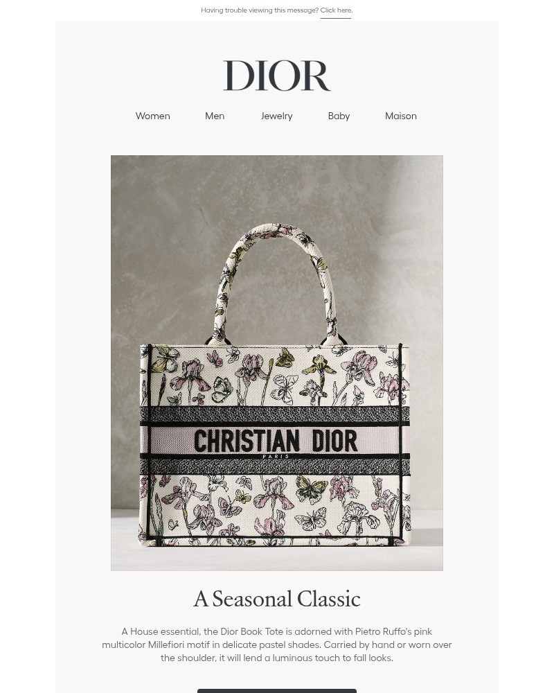 Screenshot of email sent to a Dior Newsletter subscriber