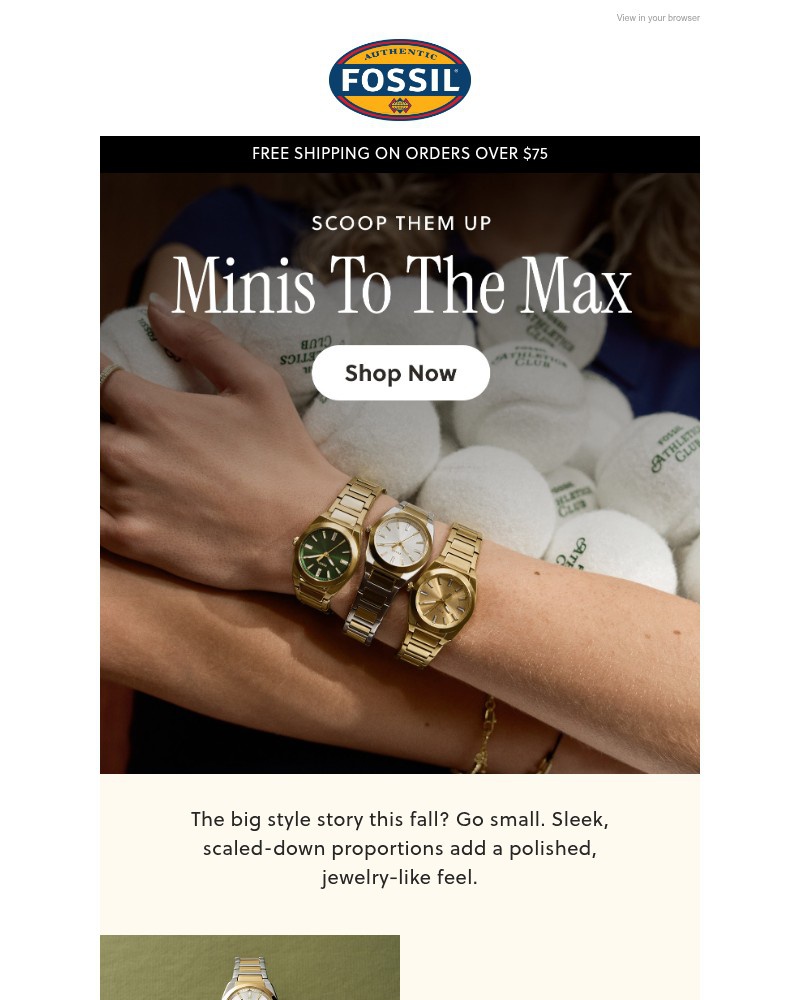 Screenshot of email sent to a Fossil Newsletter subscriber
