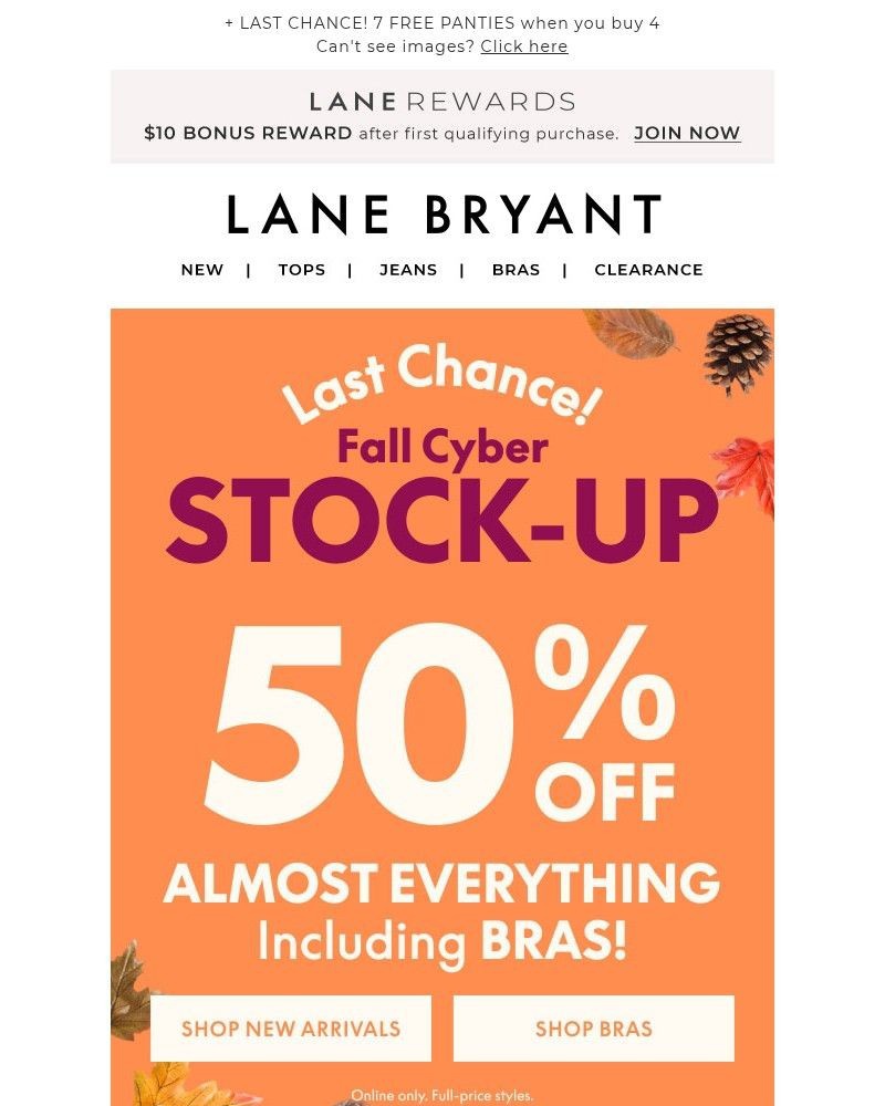 Screenshot of email with subject /media/emails/minutes-left-for-50-off-bras-clothing-f61a1d-cropped-2332afdc.jpg