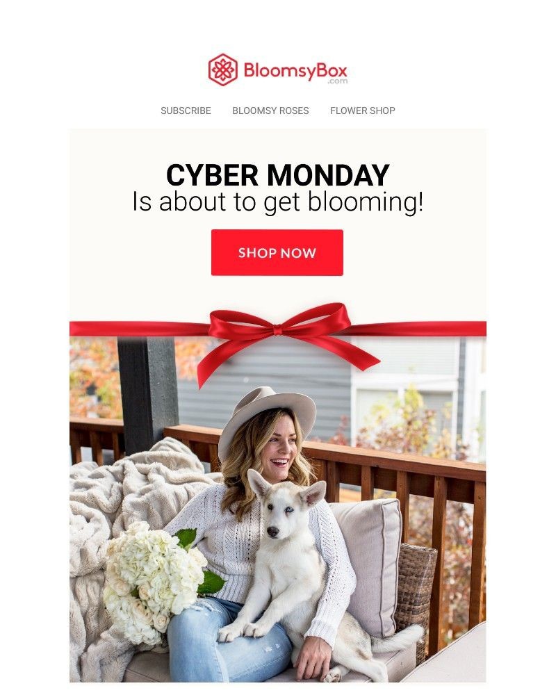 Screenshot of email with subject /media/emails/missed-out-on-black-friday-5f2d91-cropped-4d567814.jpg