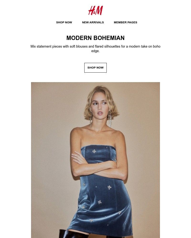 Screenshot of email with subject /media/emails/modern-bohemian-27d717-cropped-e3efddfd.jpg