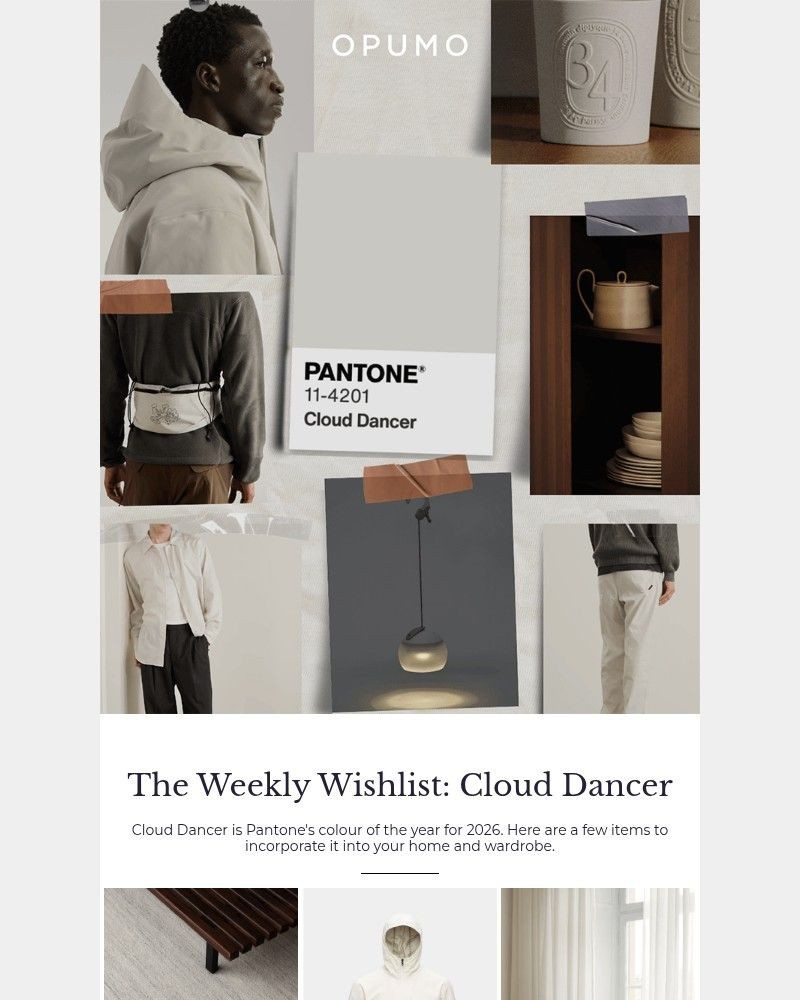 Screenshot of email sent to a Opumo Newsletter subscriber