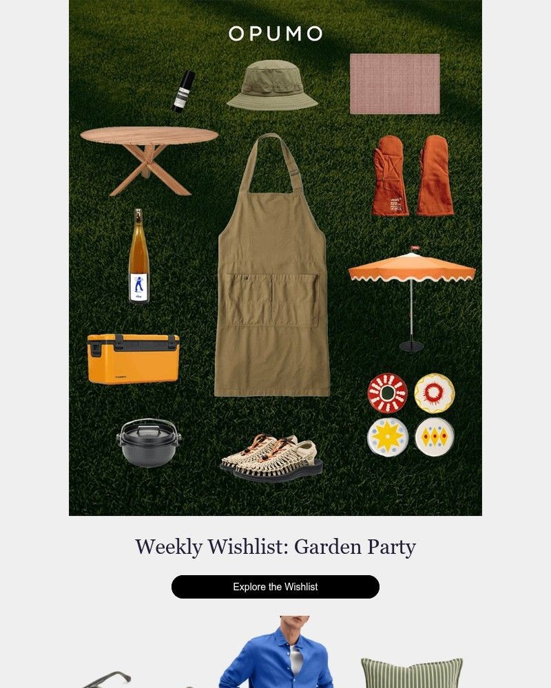 Screenshot of email sent to a Opumo Newsletter subscriber
