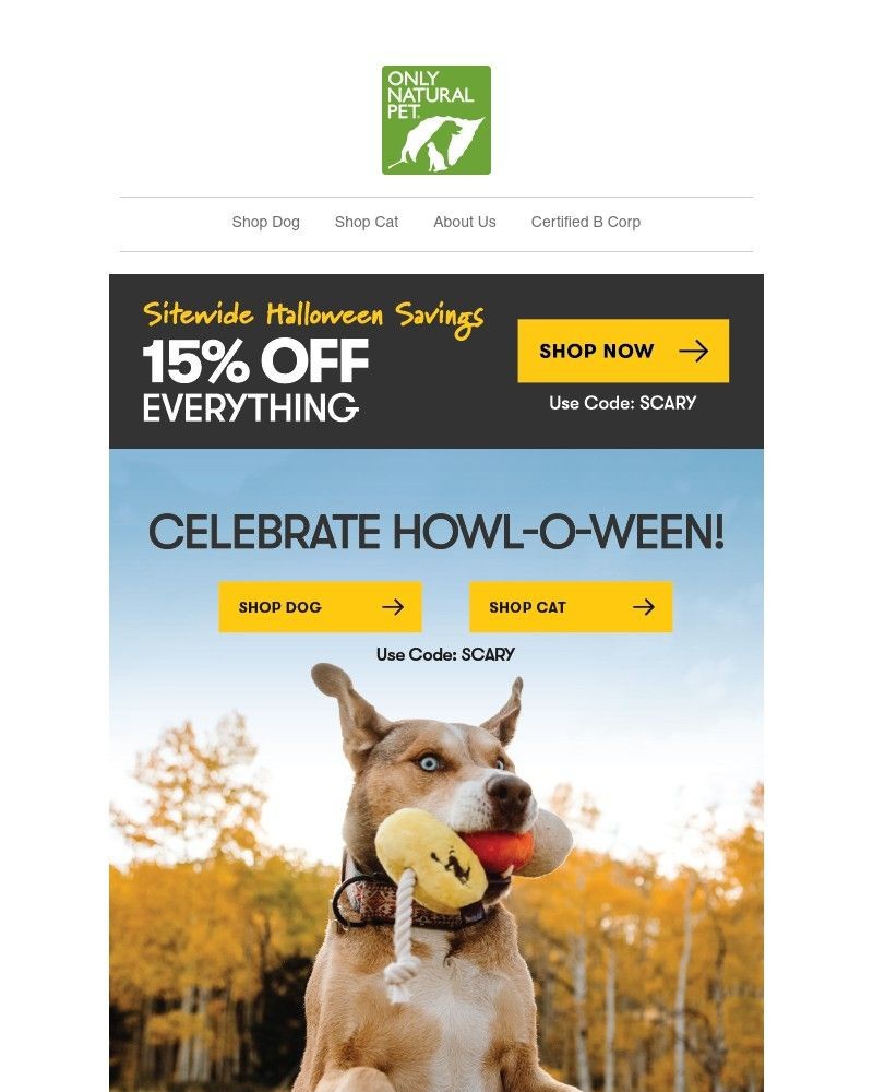 Screenshot of email with subject /media/emails/monstrous-savings-15-off-sitewide-d23edc-cropped-bc09de3f.jpg