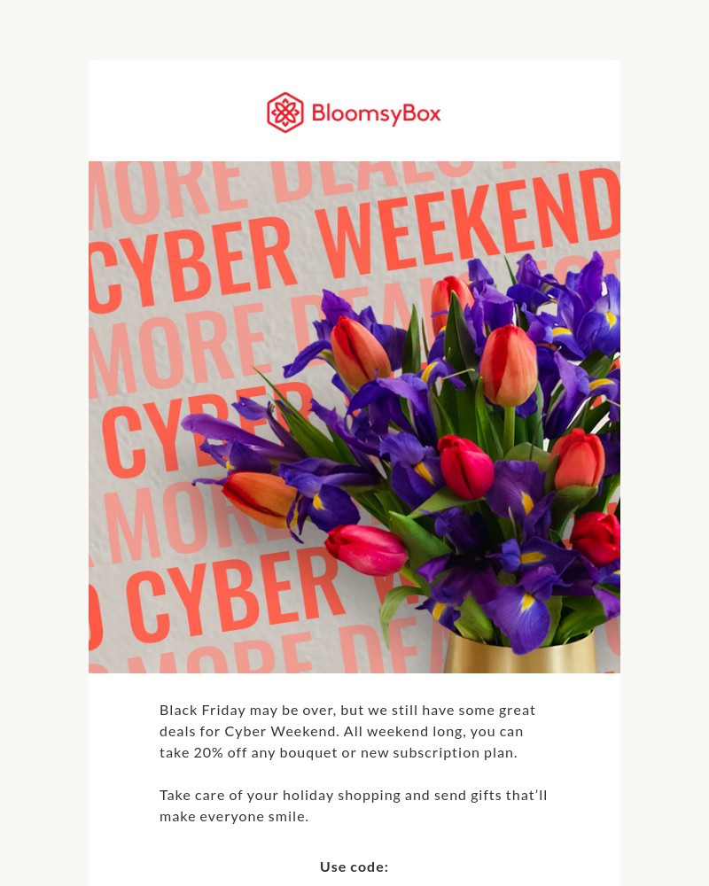 Screenshot of email with subject /media/emails/more-deals-for-cyber-weekend-639745-cropped-2c0700fc.jpg