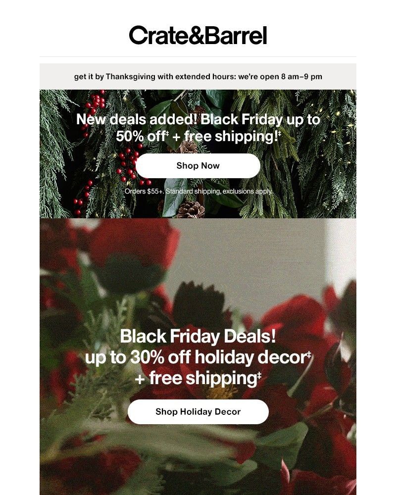 Screenshot of email with subject /media/emails/more-holiday-decor-now-on-sale-shop-up-to-30-off-b52eb2-cropped-7978990b.jpg