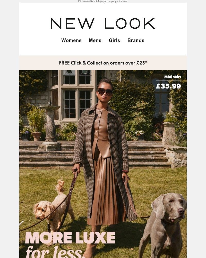Screenshot of email with subject /media/emails/more-luxe-for-less-has-landed-030804-cropped-ef9aa0dd.jpg