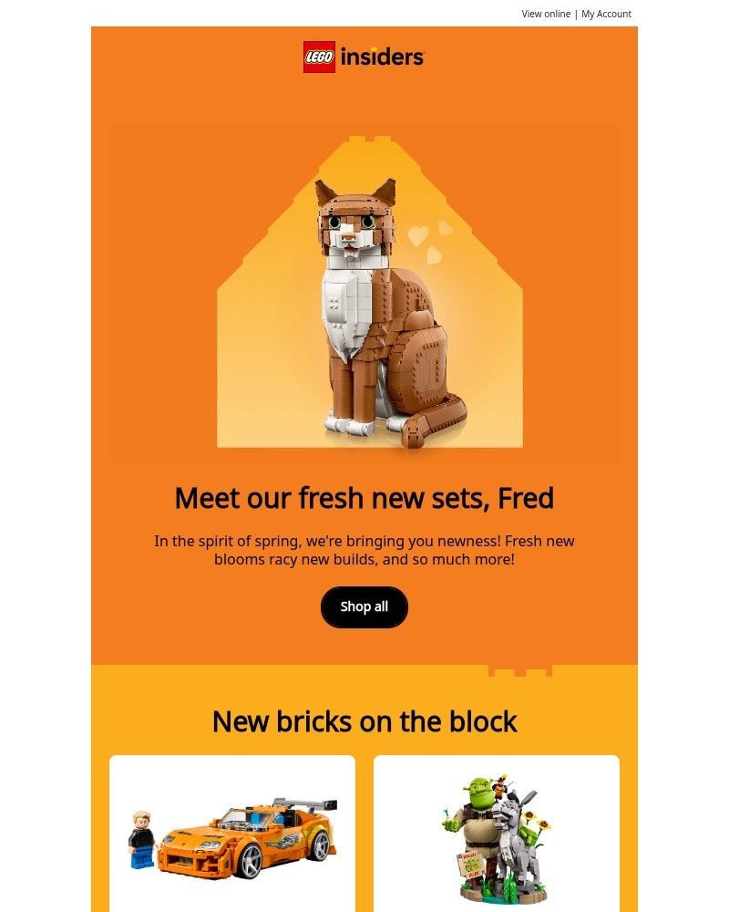 Screenshot of email sent to a Lego Registered user