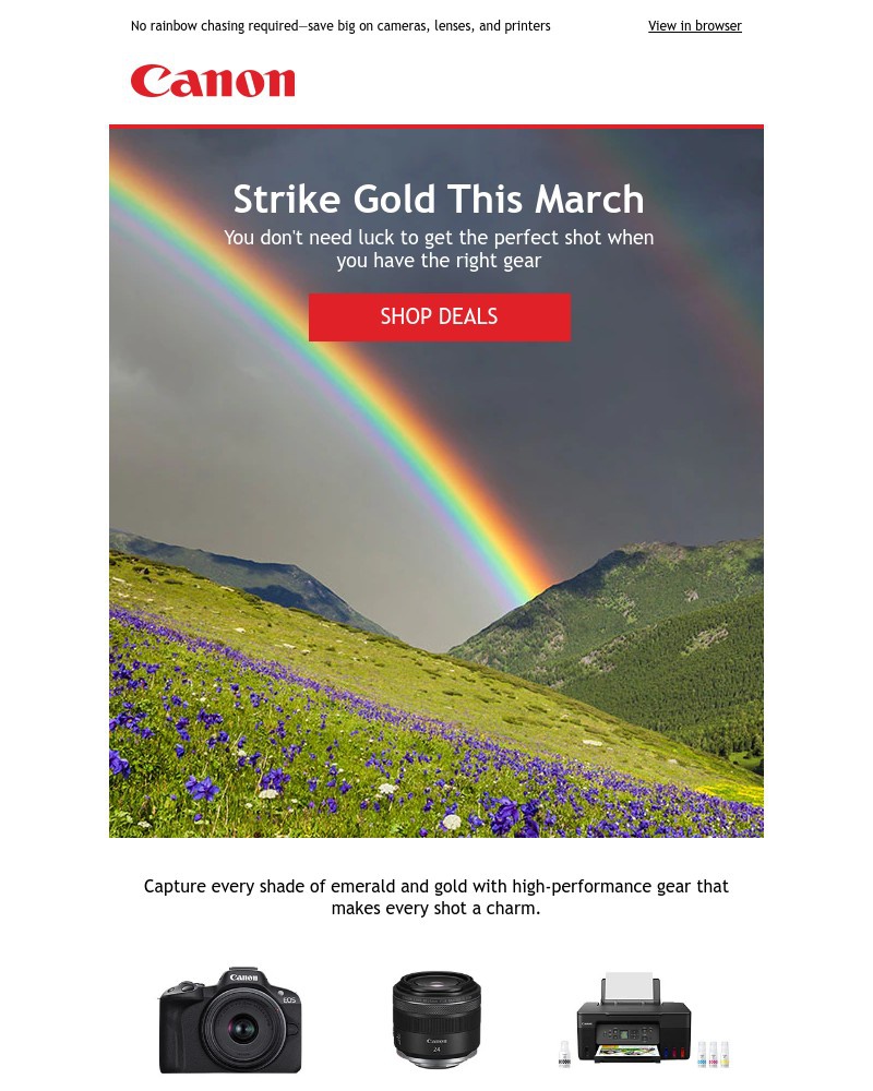 Screenshot of email sent to a Canon Newsletter subscriber