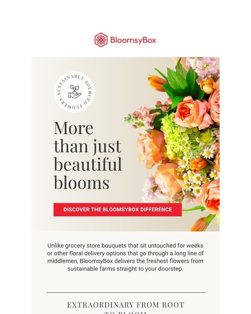 Screenshot of email with subject /media/emails/more-than-just-beautiful-blooms-f472de-cropped-5d61d795.jpg