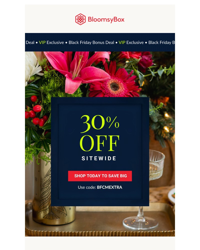 Screenshot of email with subject /media/emails/more-to-be-thankful-for-30-off-sitewide-is-here-898e54-cropped-7679ce5c.jpg