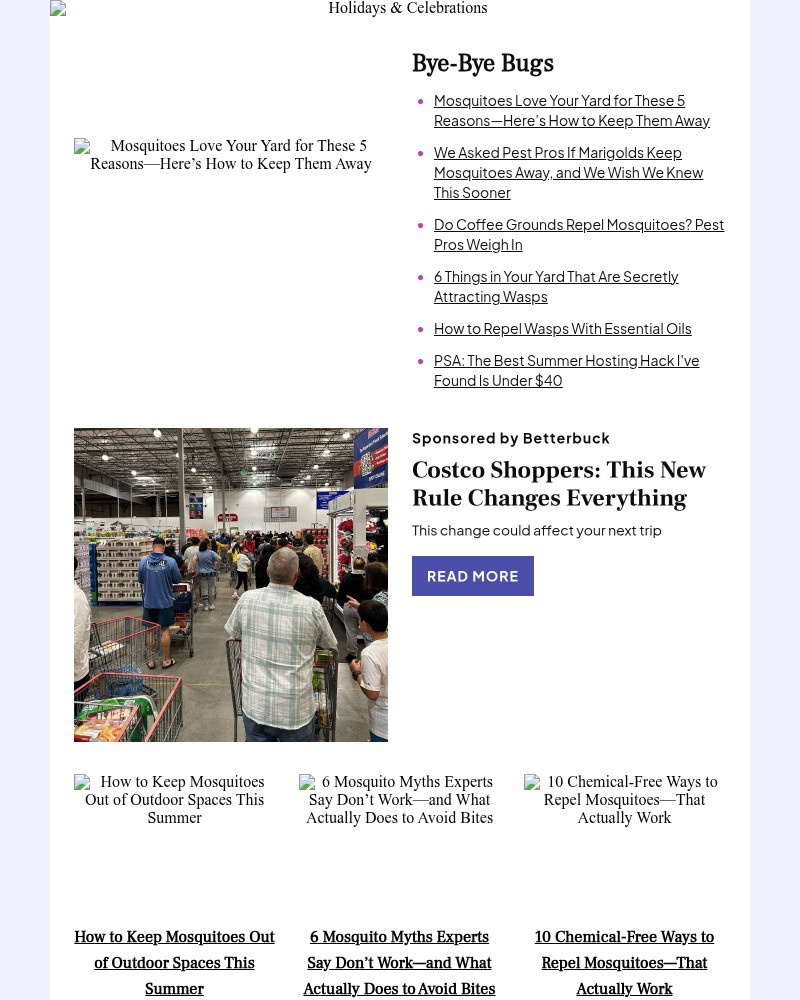 Screenshot of email with subject /media/emails/mosquitoes-love-your-yard-for-these-5-reasonsheres-how-to-keep-them-away-473c3f-c_FsTVvNn.jpg