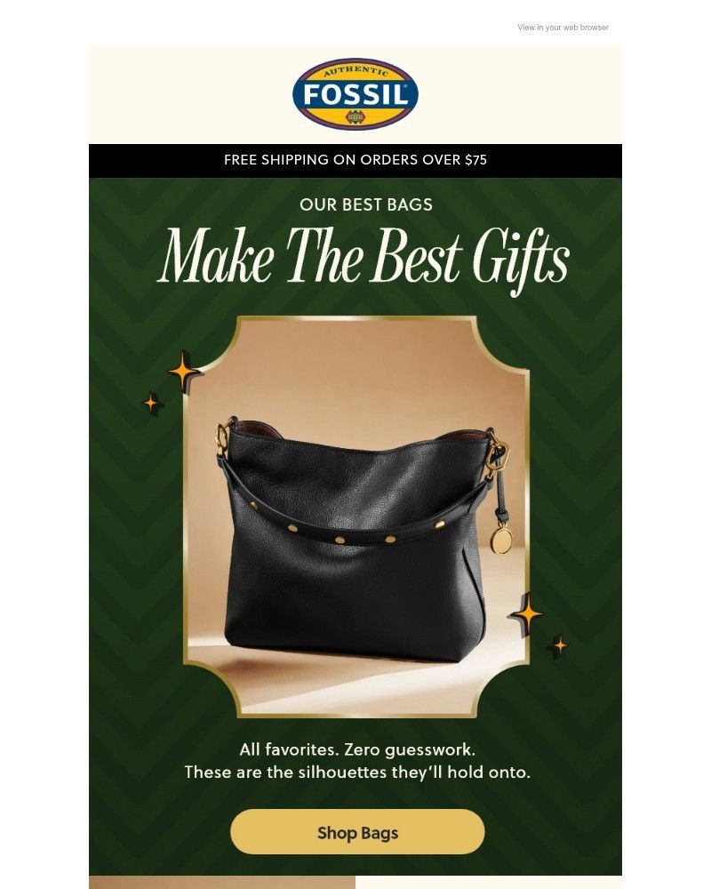 Screenshot of email sent to a Fossil Newsletter subscriber