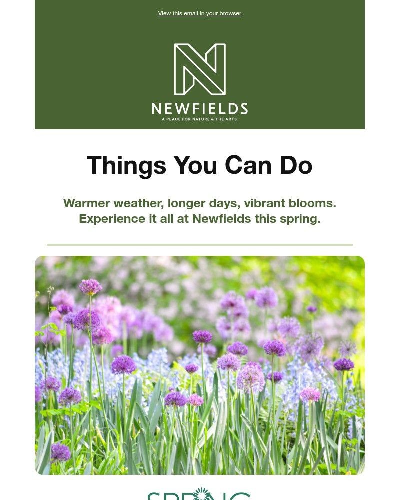 Screenshot of email sent to a Newfields Newsletter subscriber