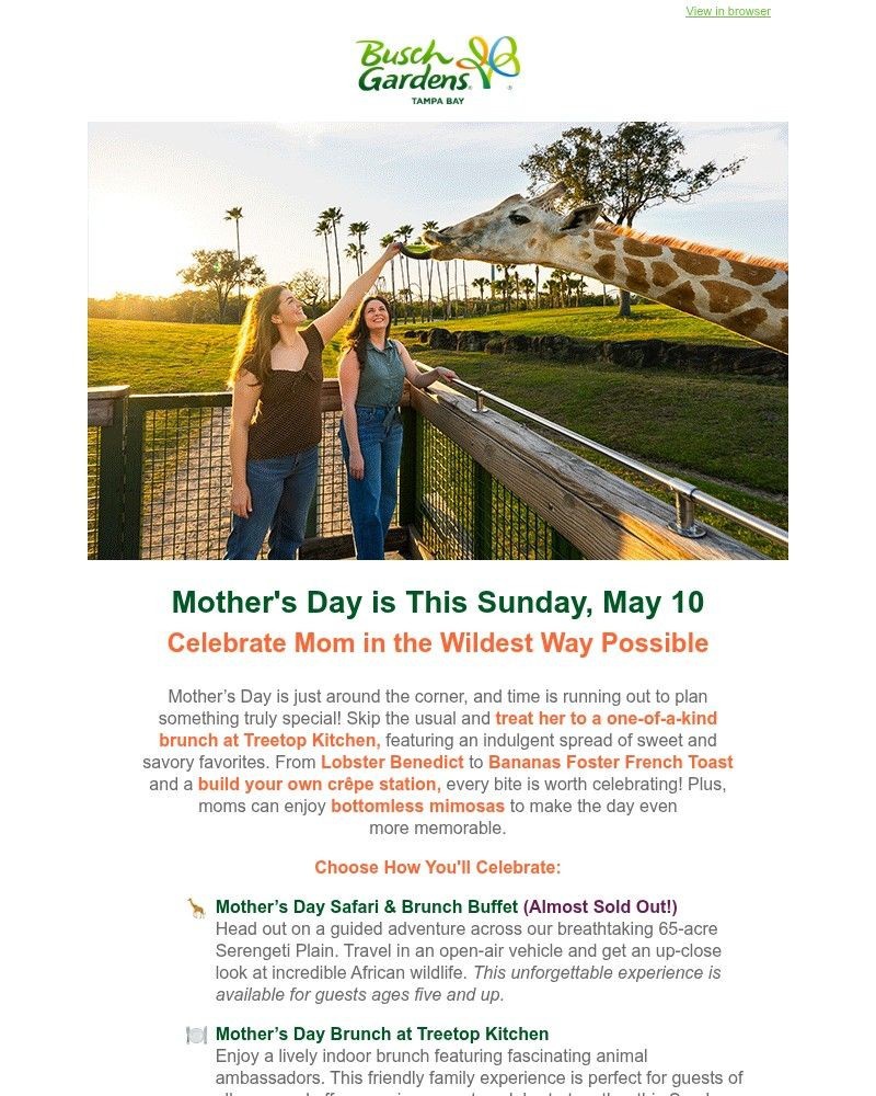 Screenshot of email with subject /media/emails/mothers-day-is-this-sunday-our-safari-brunch-event-is-calling-bbcec1-cropped-638b53b3.jpg