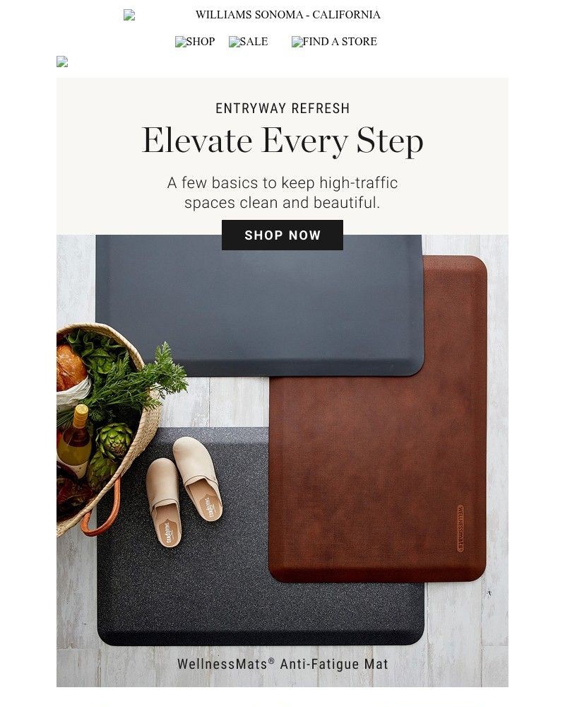 Screenshot of email with subject /media/emails/mud-meet-your-match-mats-rugs-more-1af237-cropped-4be64870.jpg