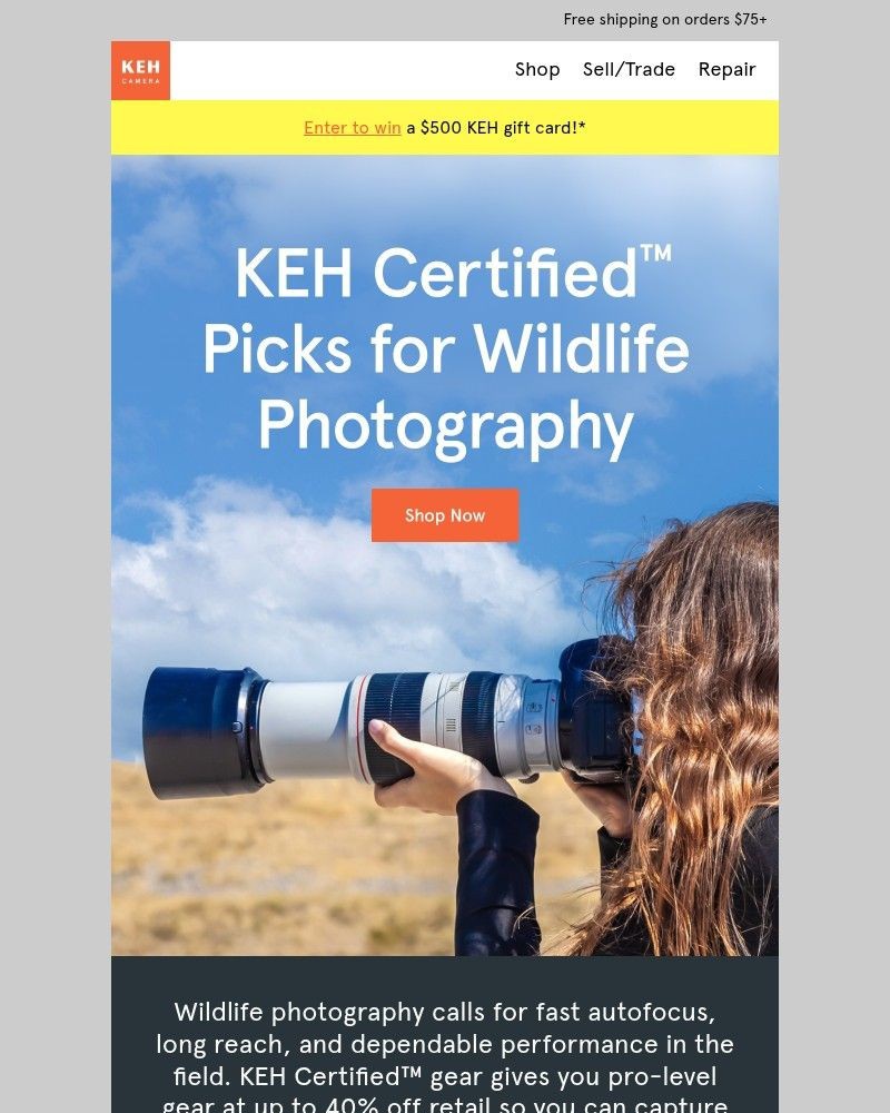Screenshot of email with subject /media/emails/must-have-gear-for-wildlife-photography-bd4d26-cropped-64989357.jpg