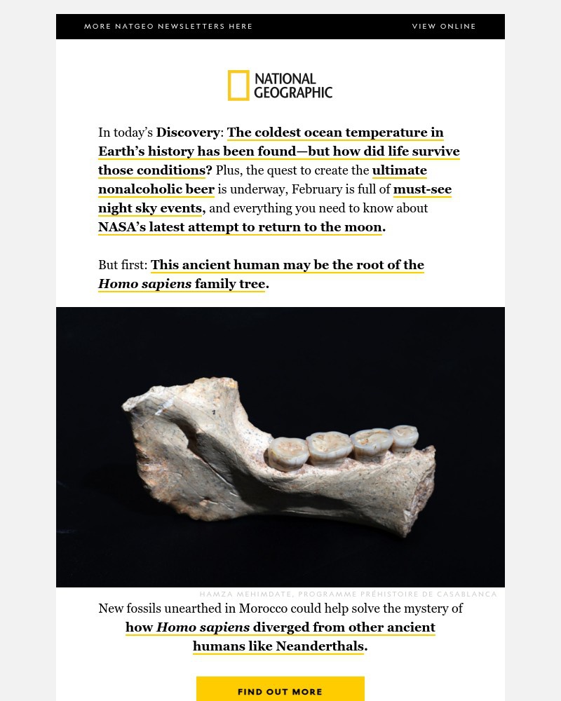 Screenshot of email with subject /media/emails/must-see-night-sky-events-in-february-the-fossils-shaking-up-the-tale-of-human-or_uXvZ98K.jpg