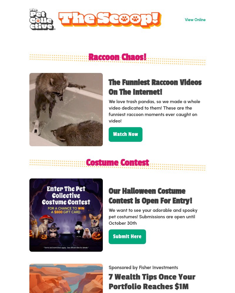 Screenshot of email with subject /media/emails/must-watch-raccoons-being-the-funniest-animals-ever-101a45-cropped-ca16da89.jpg