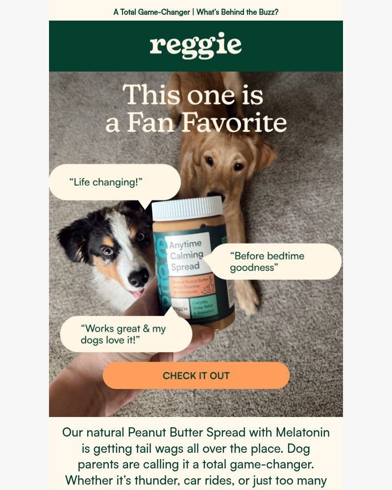 Screenshot of email with subject /media/emails/my-dog-would-give-this-6-stars-if-he-could-5b8e38-cropped-1514004d.jpg