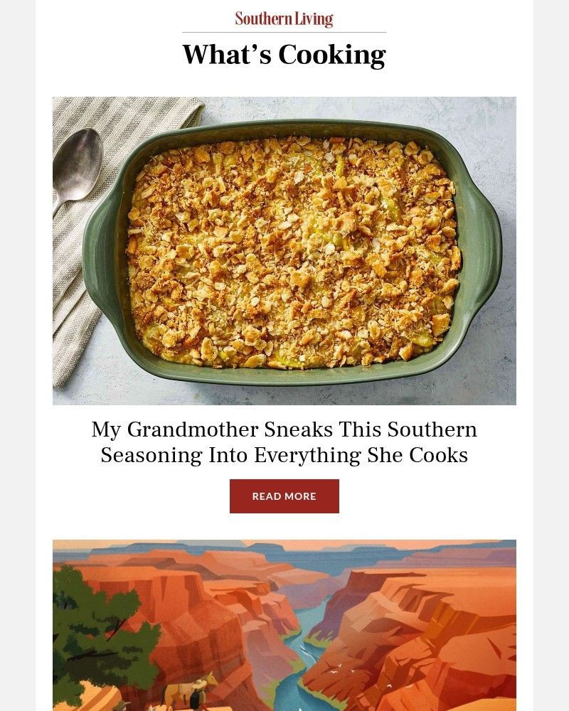 Screenshot of email with subject /media/emails/my-grandmother-sneaks-this-southern-seasoning-into-everything-she-cooks-fc7084-cr_4GU8ipy.jpg