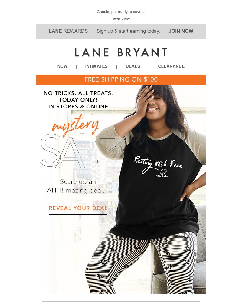 Screenshot of email with subject /media/emails/mystery-sale-cropped-c2b0466b.jpg