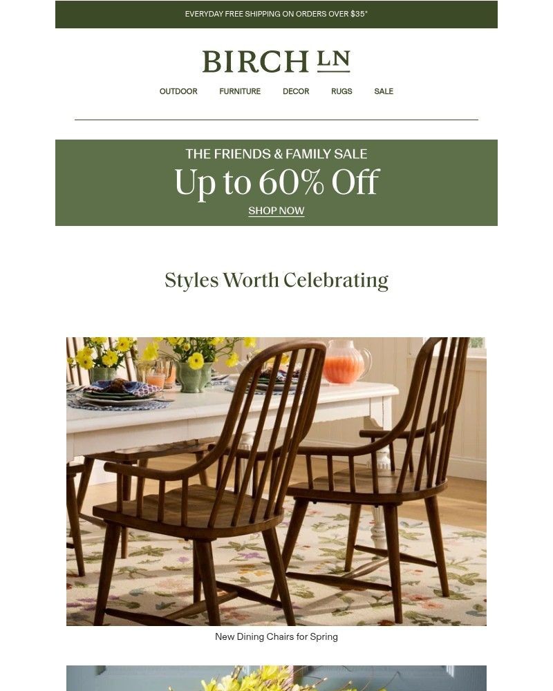 Screenshot of email with subject /media/emails/n-e-w-classic-dining-chairs-a9d142-cropped-da1e0ff8.jpg