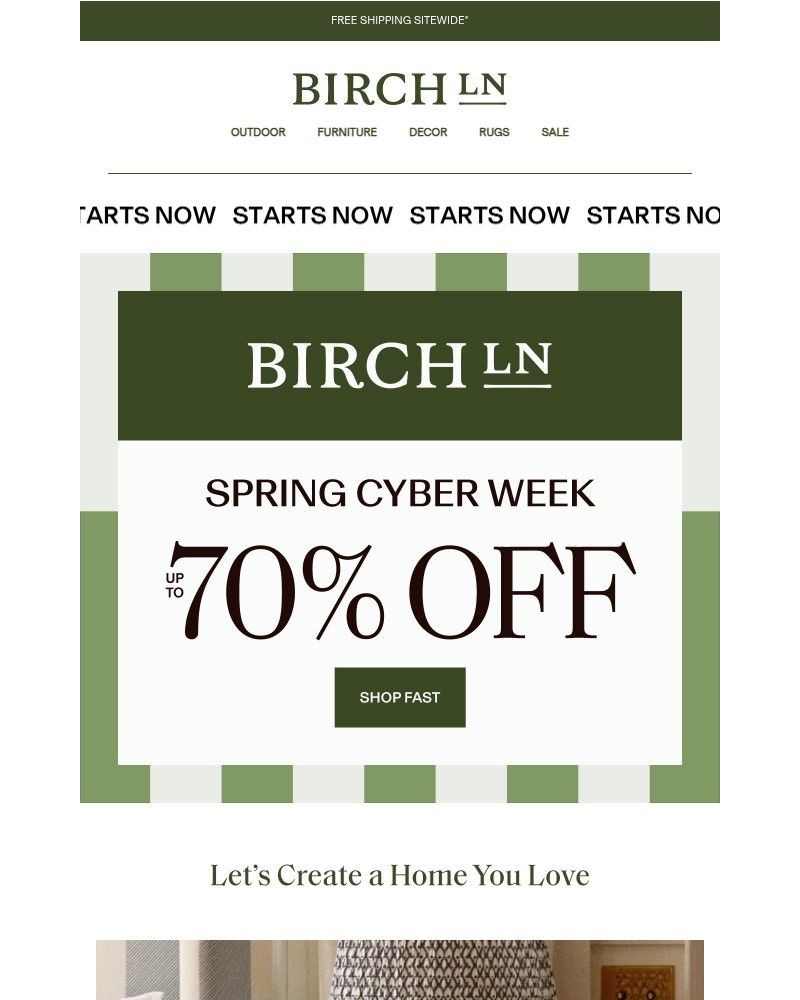 Screenshot of email sent to a Birch Lane Newsletter subscriber